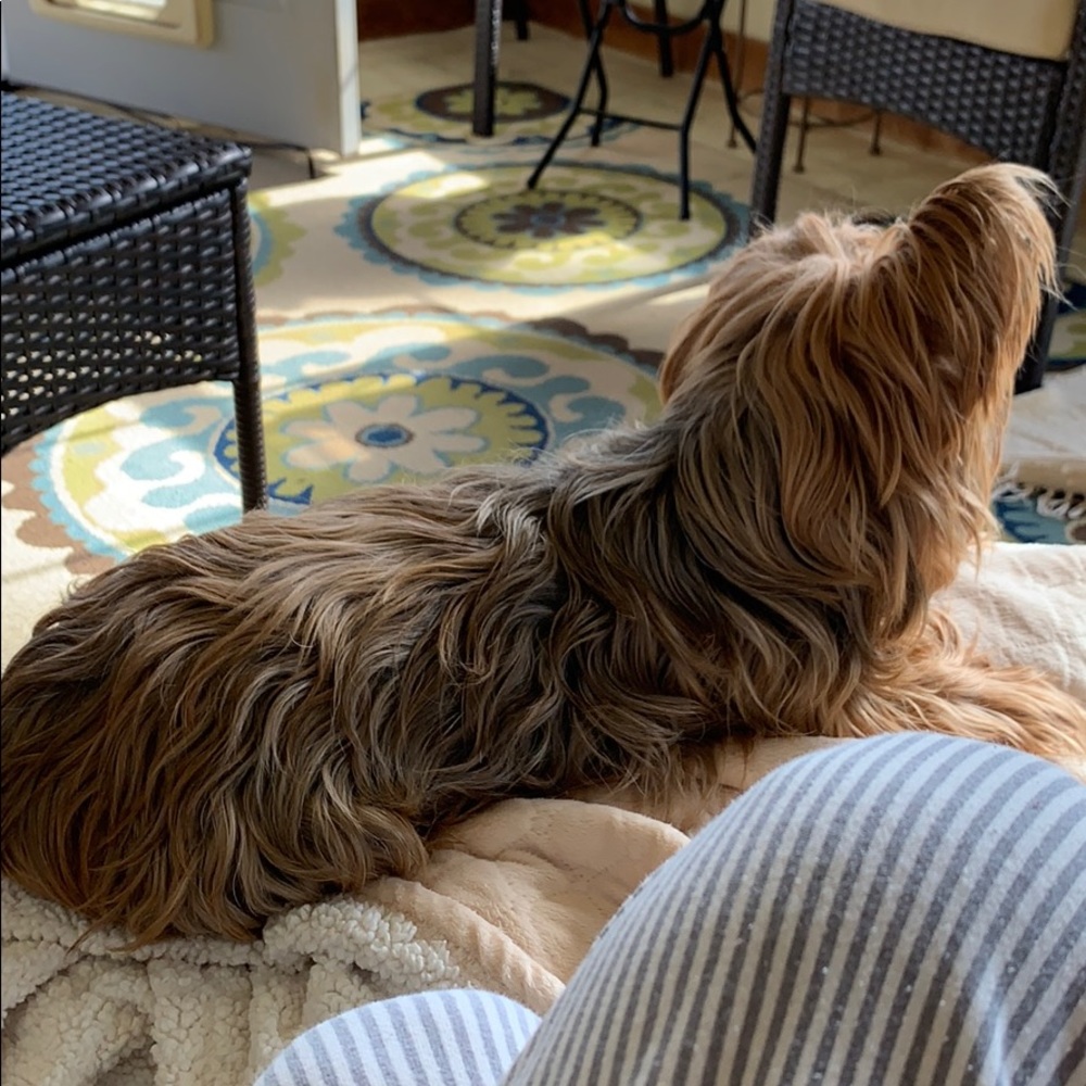 Meet your Posher, Diane